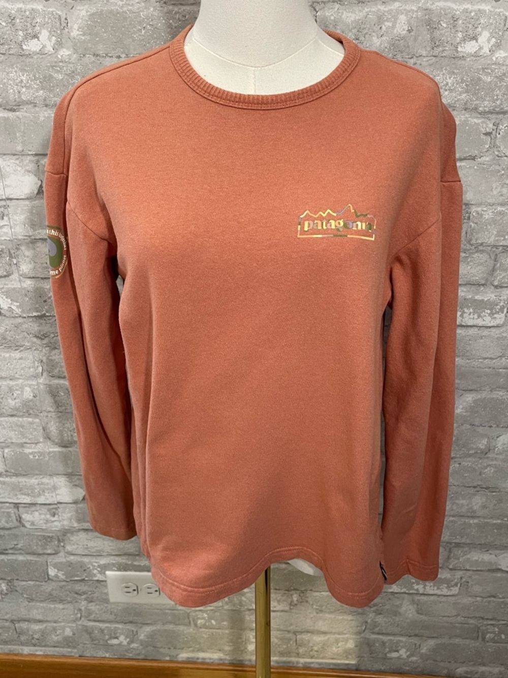 Patagonia Lightweight Unity Fitz Wildrise Crew